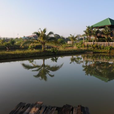 Environment 3