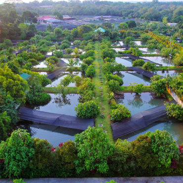 Environment